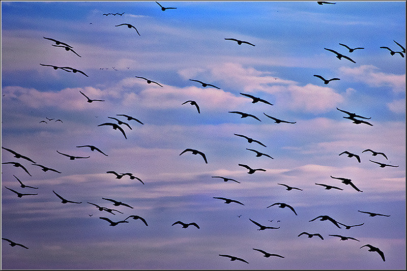 1dec2012_serbanvornicu_07