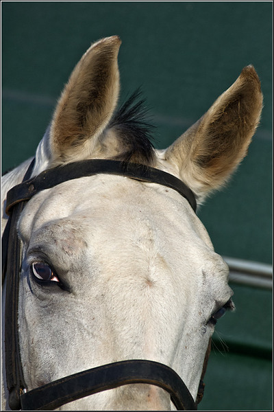 1dec2012_serbanvornicu_08