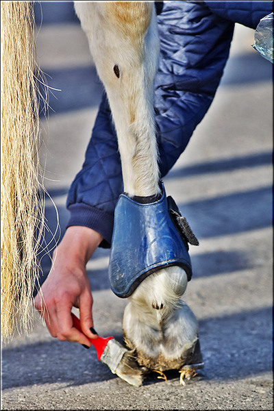 1dec2012_serbanvornicu_09