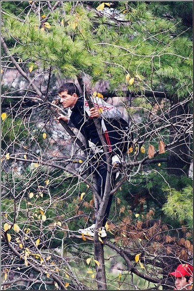 1dec2012_serbanvornicu_39