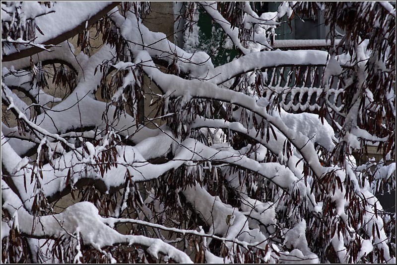 121212_serbanvornicu_02