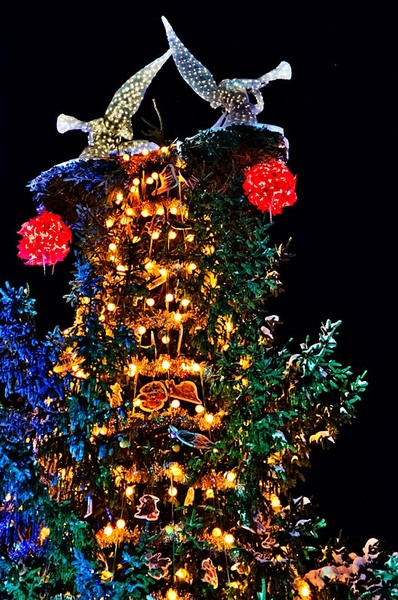 121212_serbanvornicu_16