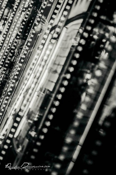 62170_459996880702161_645312128_n