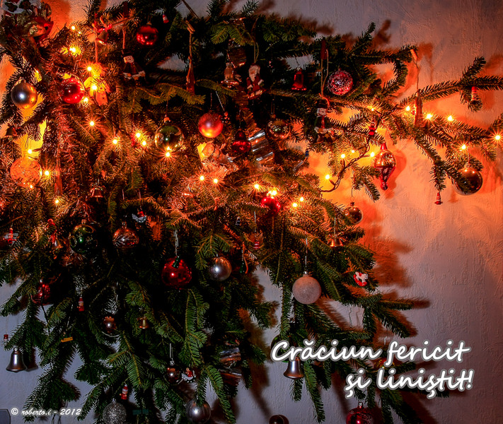 20121224-_mg_1894-edit