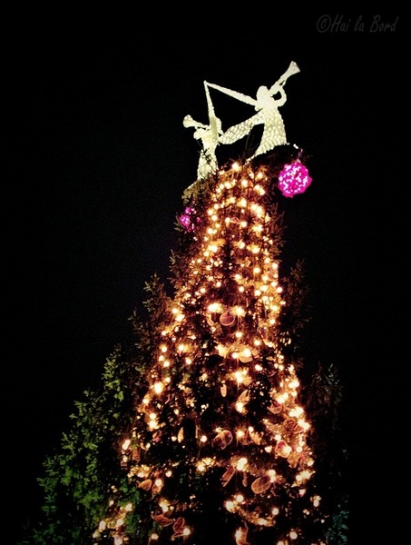 detaliu-brad-universitate-sarbatori-2012-3