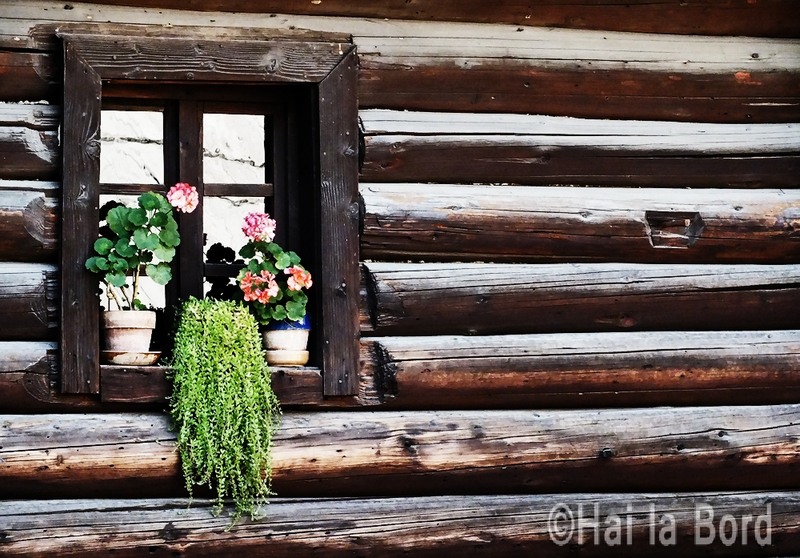 fereastra-muzeul-satului-bucuresti2