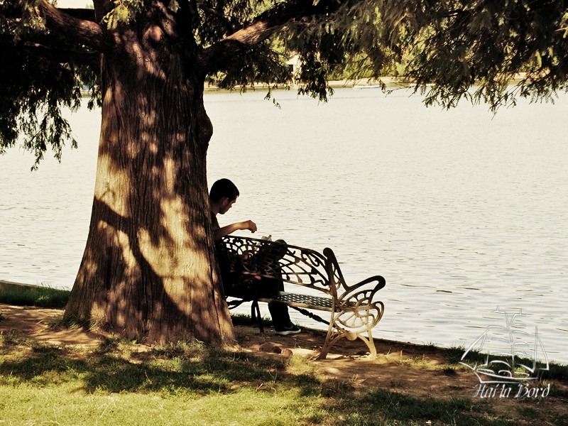 lectura-pe-malul-lacului-herastrau