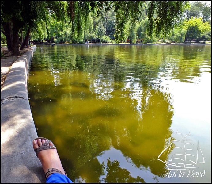 pe-malul-lacului-cismigiu