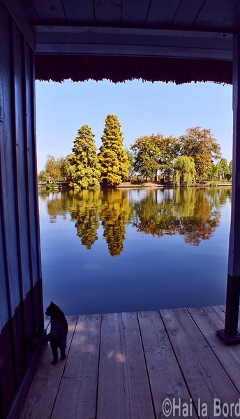 peisaj-ponton-muzeul-satului-bucuresti