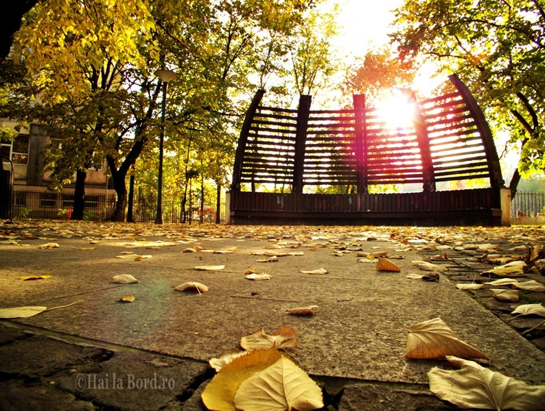 toamna-parc-titanii4