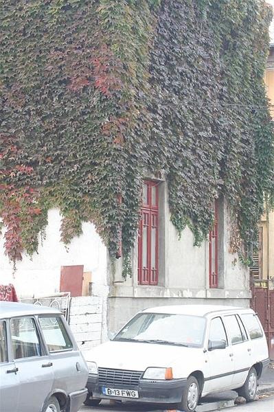 robi_ianc_unirii_041