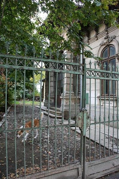 robi_ianc_unirii_092