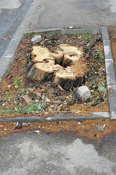 robi_ianc_unirii_127