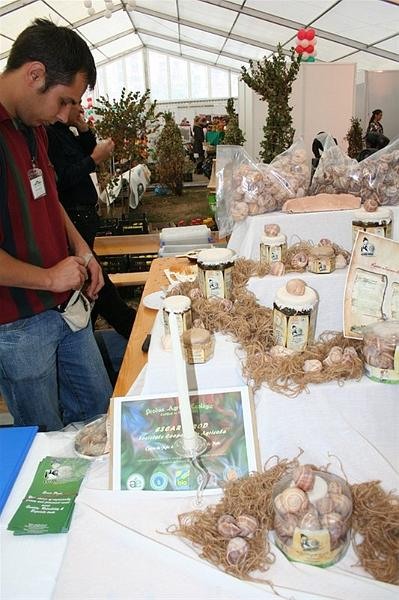 robi_ianc_unirii_179