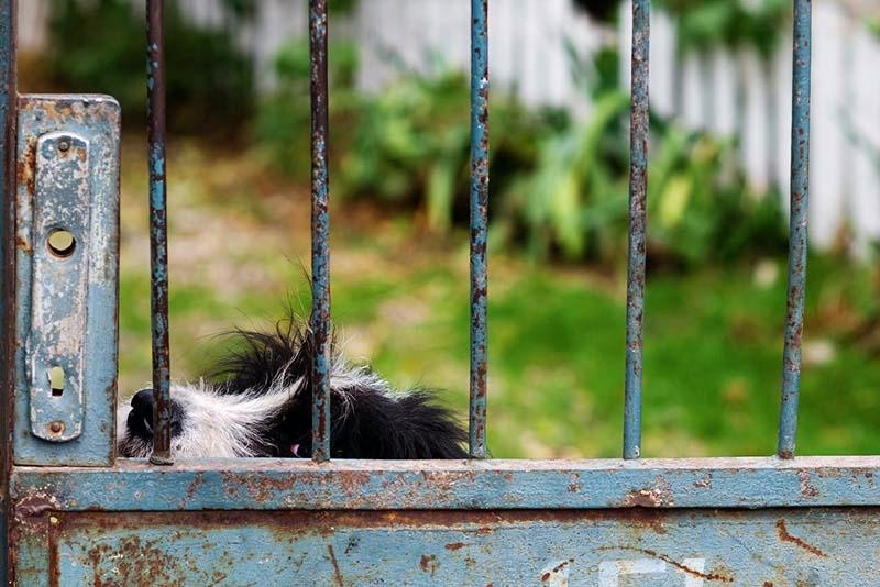 cristiiv_20081018_03