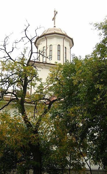 gabrielmih_20081018_05