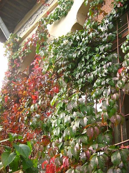 gabrielmih_20081018_09