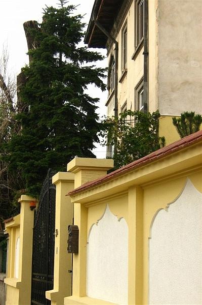 gabrielmih_20081018_15