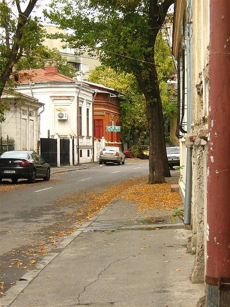 gabrielmih_20081018_23