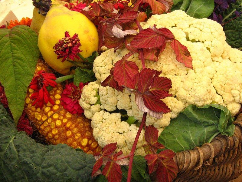 gabrielmih_20081018_26