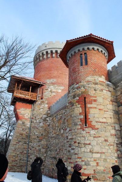 castelul-tepes-005