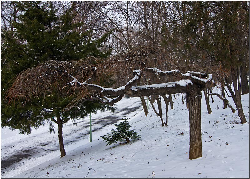 castelul_serbanvornicu_02