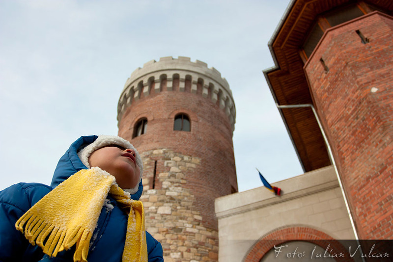 sprecastelultepes_by_iulian_vulcan_wwwtablouriunicatro_17