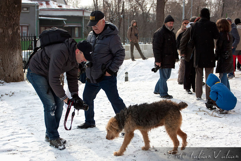 sprecastelultepes_by_iulian_vulcan_wwwtablouriunicatro_18