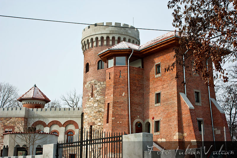 castelul_tepes_iulian_vulcan_wwwtablouriunicatro_01