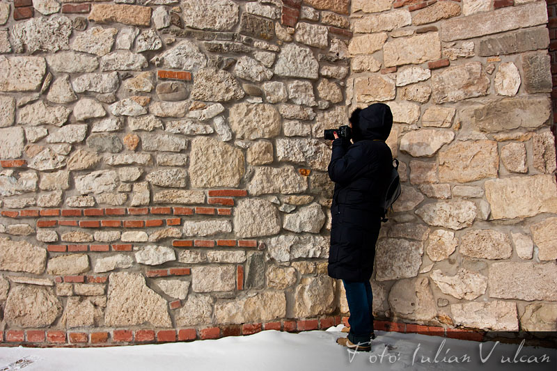 castelul_tepes_iulian_vulcan_wwwtablouriunicatro_05