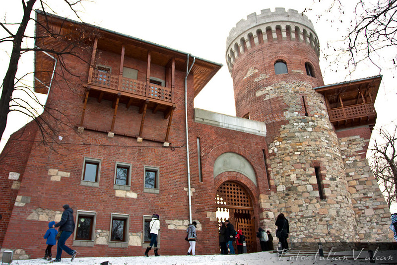 castelul_tepes_iulian_vulcan_wwwtablouriunicatro_12