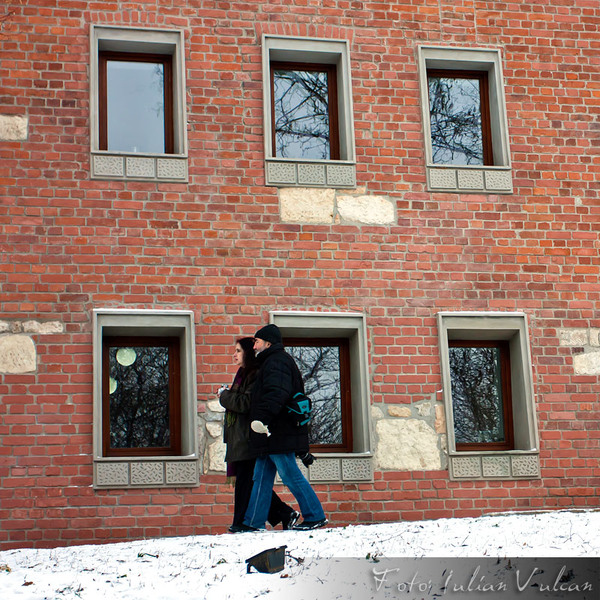 castelul_tepes_iulian_vulcan_wwwtablouriunicatro_13