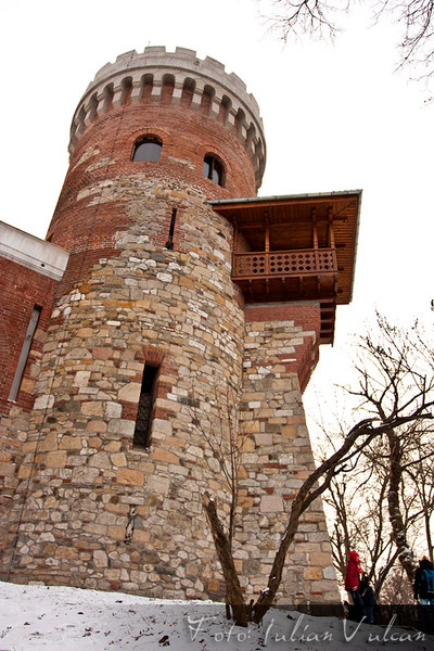 castelul_tepes_iulian_vulcan_wwwtablouriunicatro_14