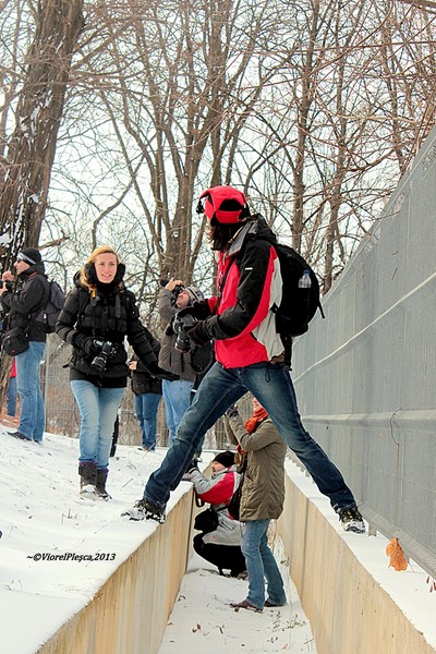 ARTA CERE SACRIFICII