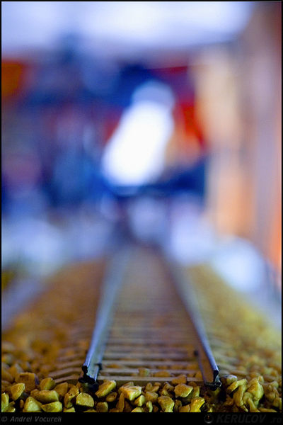 kerucov_muzeul_cfr_20