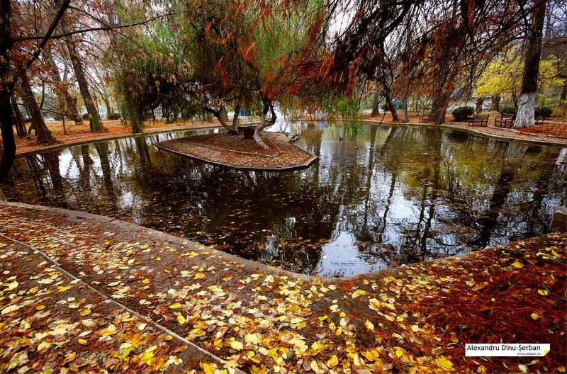 bucurestiul-meu-drag-expo-2013-12