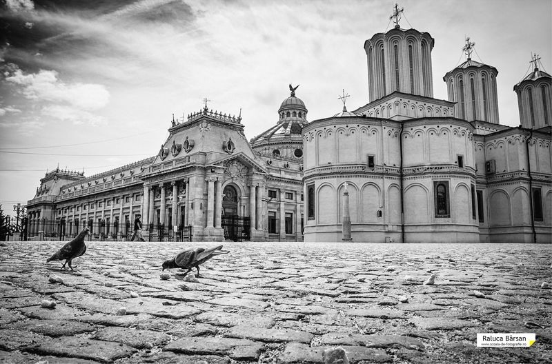 bucurestiul-meu-drag-expo-2013-212