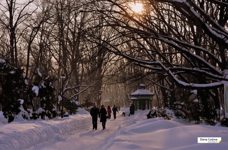 bucurestiul-meu-drag-expo-2013-222