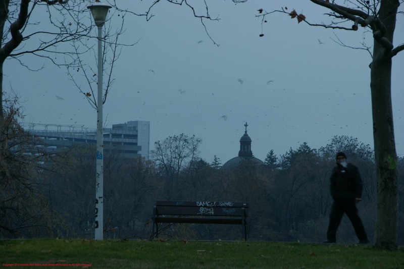 01-08-01-2012-parcul-tineretului