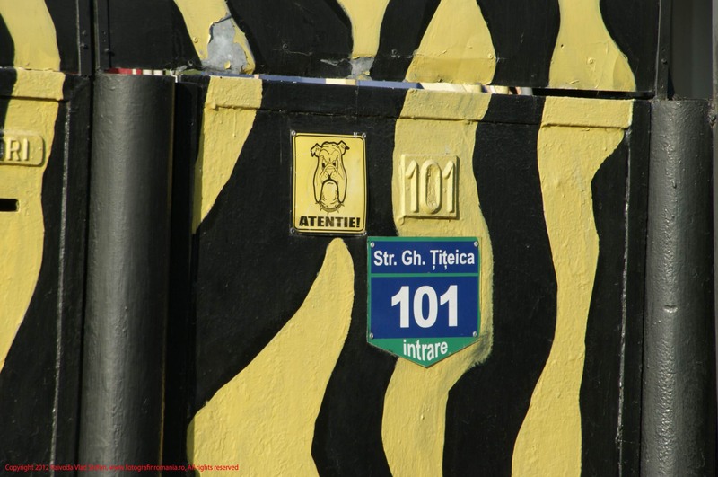 24-26-09-2012-strada-gheorghe-titeicai