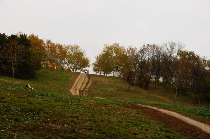 26-25-11-2012-parcul-tineretului