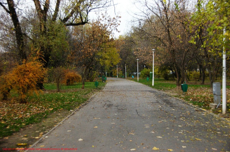 27-01-12-2012-parcul-tineretului