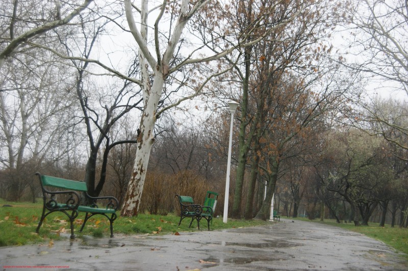 28-09-12-2012-parcul-tineretului