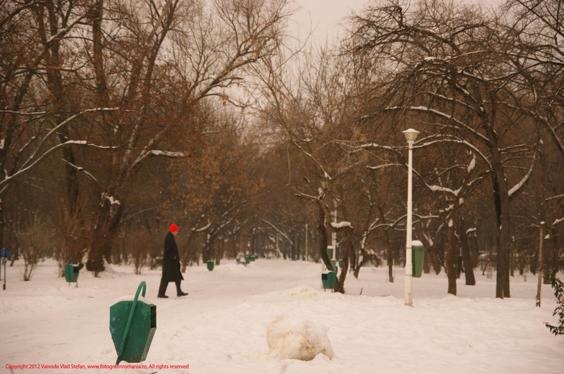 29-23-12-2012-parcul-tineretului
