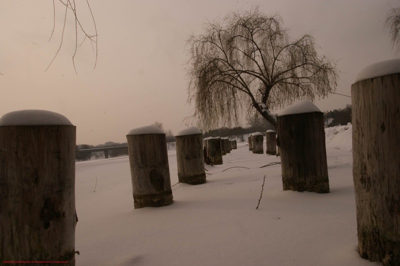 30-23-12-2012-parcul-tineretului