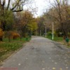 27-01-12-2012-parcul-tineretului