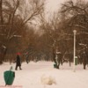 29-23-12-2012-parcul-tineretului
