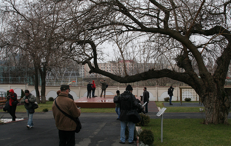 in curtea Palatului Golescu