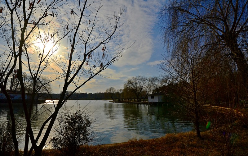 lacul-parcului-t