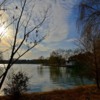 lacul-parcului-t